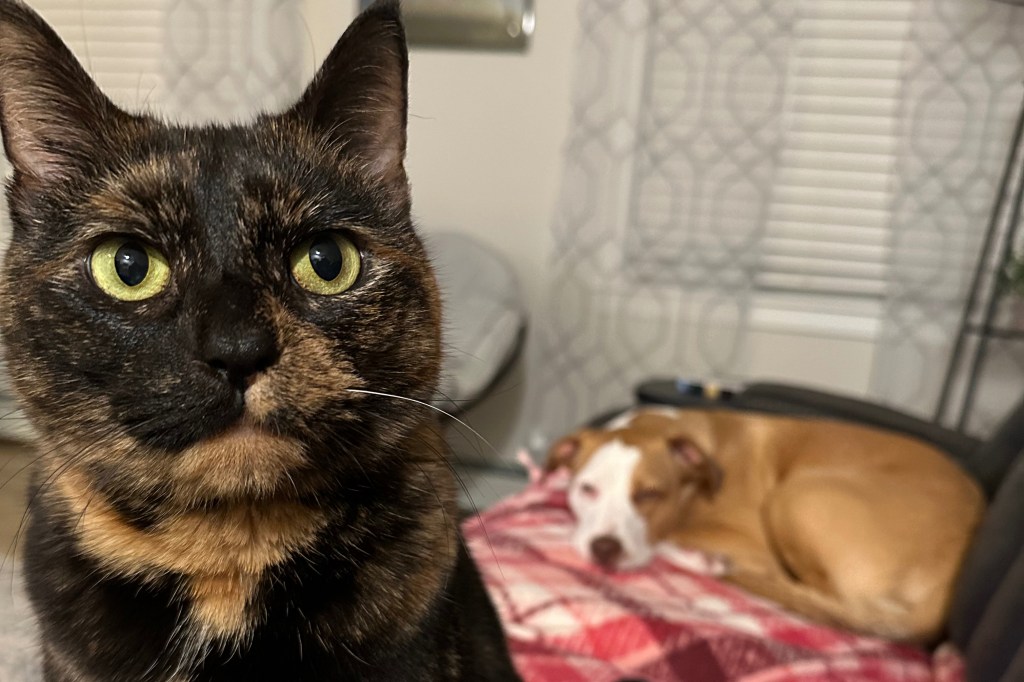 The Count Down to Departure has&nbsp;Begun!