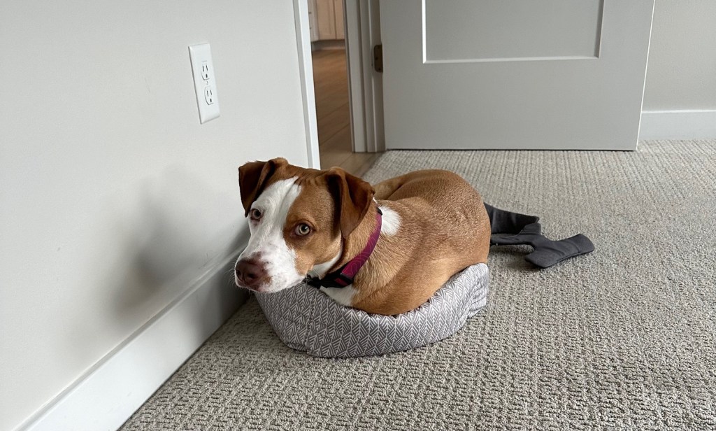 The Newlyweds Hit the Road – 2,968 Miles to&nbsp;go!