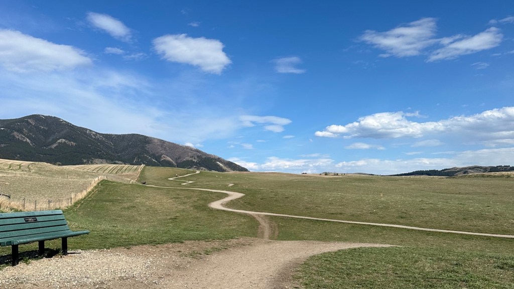 Burritos, Dog Parks and Coffee