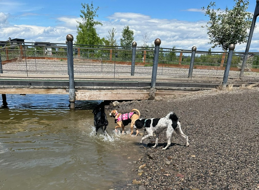 Making Bozeman, MT Feel Like&nbsp;Home