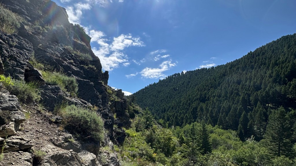 Adventure Awaits: Making the Most of Our Holiday&nbsp;Weekend