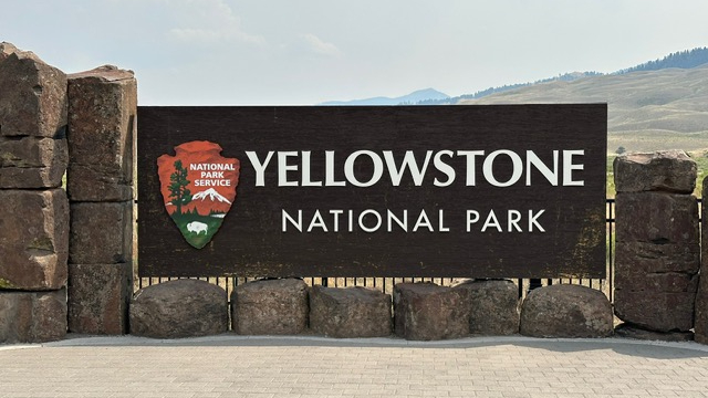 Wildlife Encounters at Yellowstone National Park and Backcountry&nbsp;Running