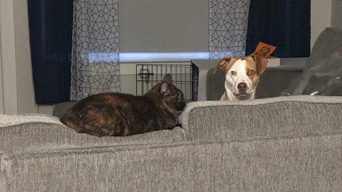 A Special Weekend&nbsp;Indoors