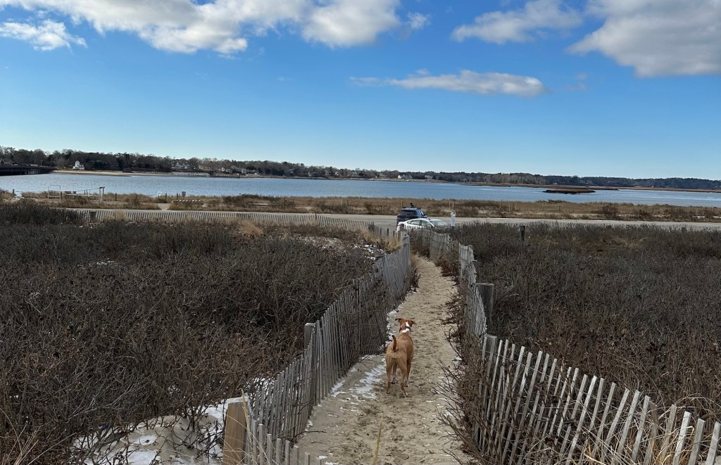 Top Dining Destinations During Our Boston Road&nbsp;Trip